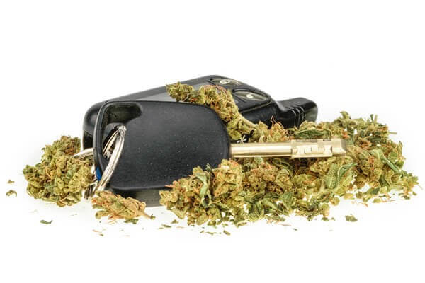 drug driving limit cannabis valley center